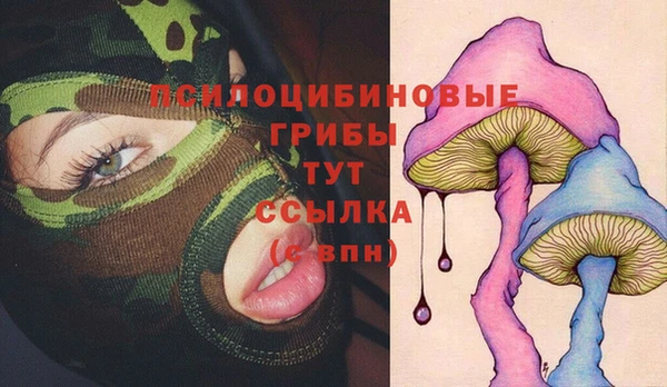 spice Мегион