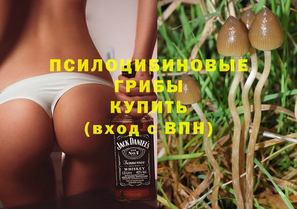 экстази Медногорск