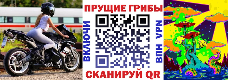 Псилоцибиновые грибы Psilocybine cubensis  Купить  Свирск 